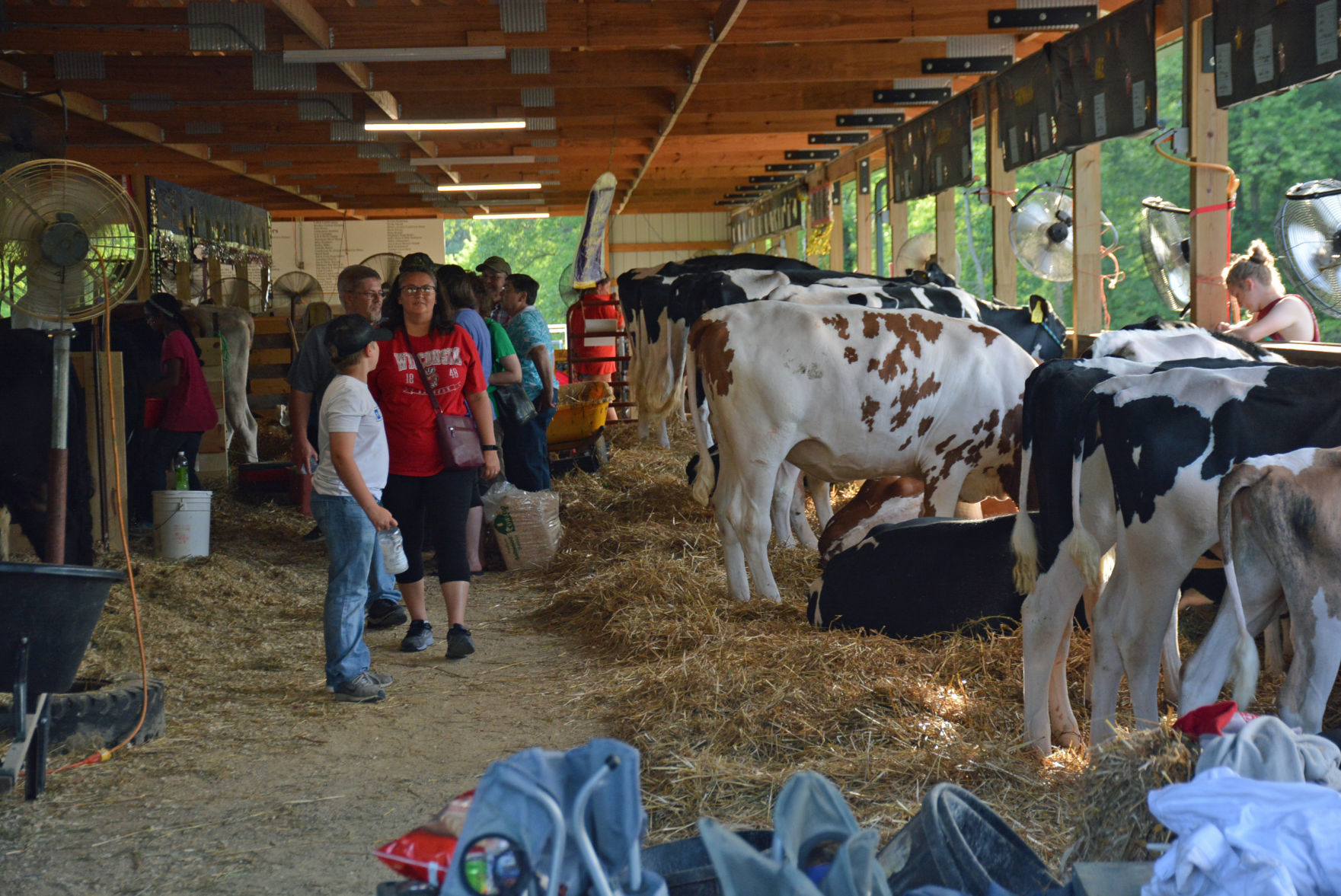 Elroy Fair 15